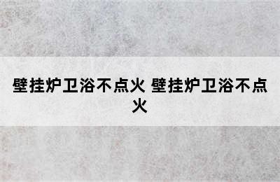 壁挂炉卫浴不点火 壁挂炉卫浴不点火